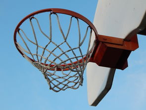 mk体育app-NBA球员防守意识培养训练法与行为转化研究，nba2021球员防守效率