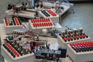 mk体育现在-数字化转型：青训系统中的大数据应用，数字化转型_青训系统中的大数据应用有哪些