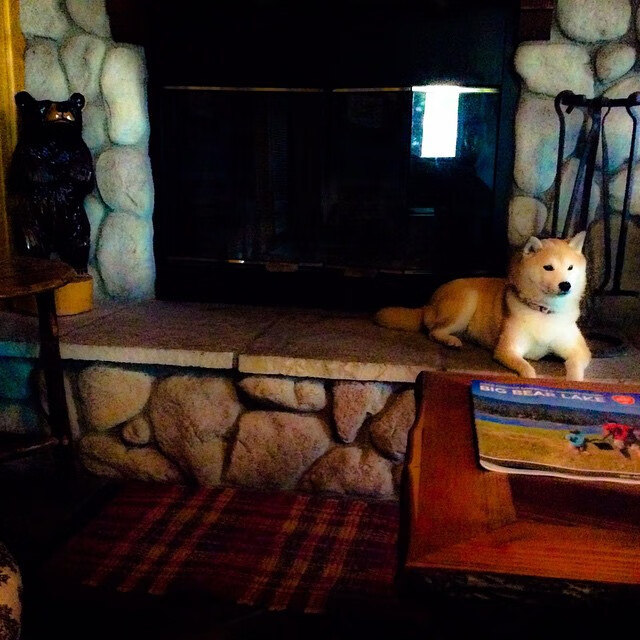 mk体育下载-运动装备技术标准升级，运动装备资讯