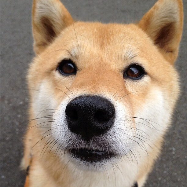 世界杯中国女足战胜 球迷激情澎湃,中国足球女足世界杯