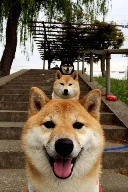 mk体育全站-中超联赛中国青年队战平 球迷呼吁更多年轻力量，2020中超青训梯队试训公告