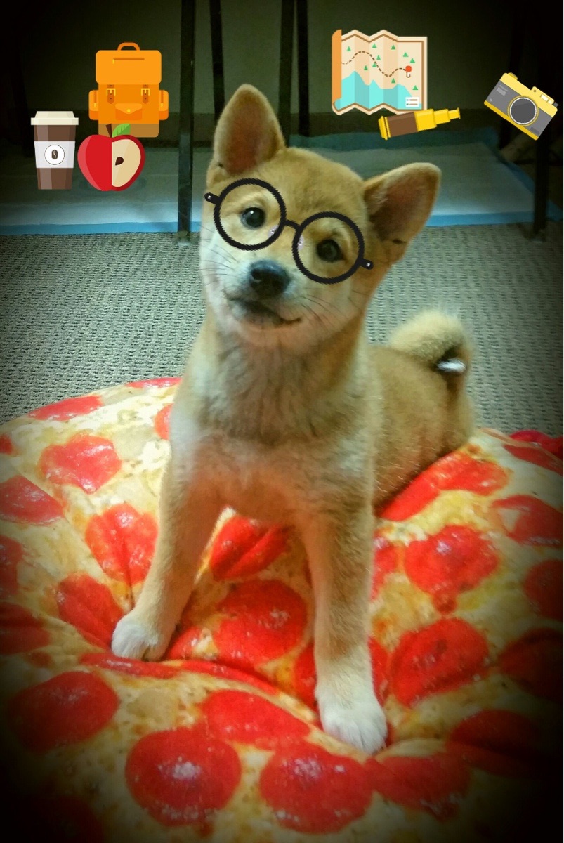 印度队未来发展:通过细化训练程序,提升团队协作力,印度部队最新消息