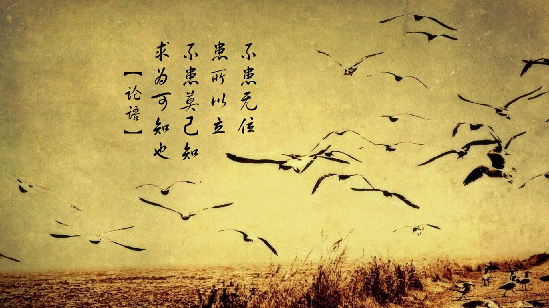 mk体育平台登录入口-基层足球教练队伍专业化不足，作为足球教练应该具备什么素养