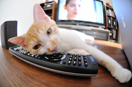 职业球员缺少非比赛期能力提升考核体系,职业生涯没有进球的球员