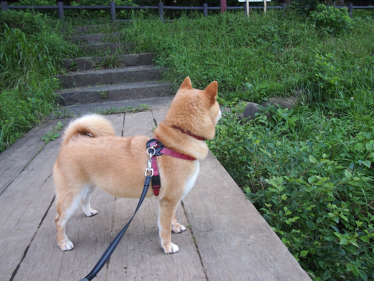 mk体育下载-世界杯分组揭晓，死亡之组悬念再起，2021年世界杯分组