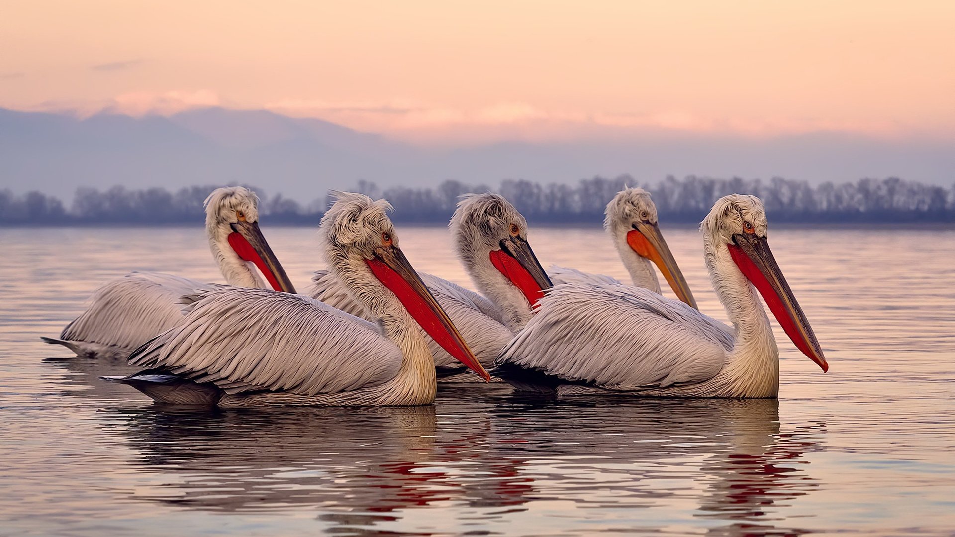 mk体育官网入口-中国足球青训教练员能力提升计划启动，足球青训教练培养