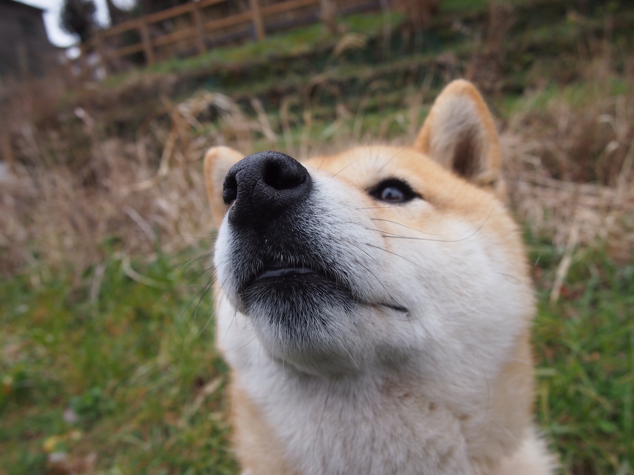 全黑队的攻守兼备让比赛更加精彩纷呈,黑队黑队口号