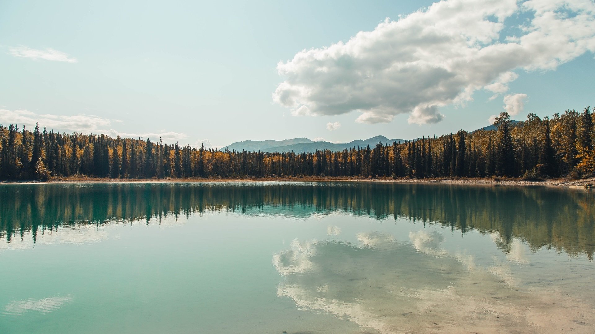 体育mk-哈登强调执行力决定球队上限，哈登效率