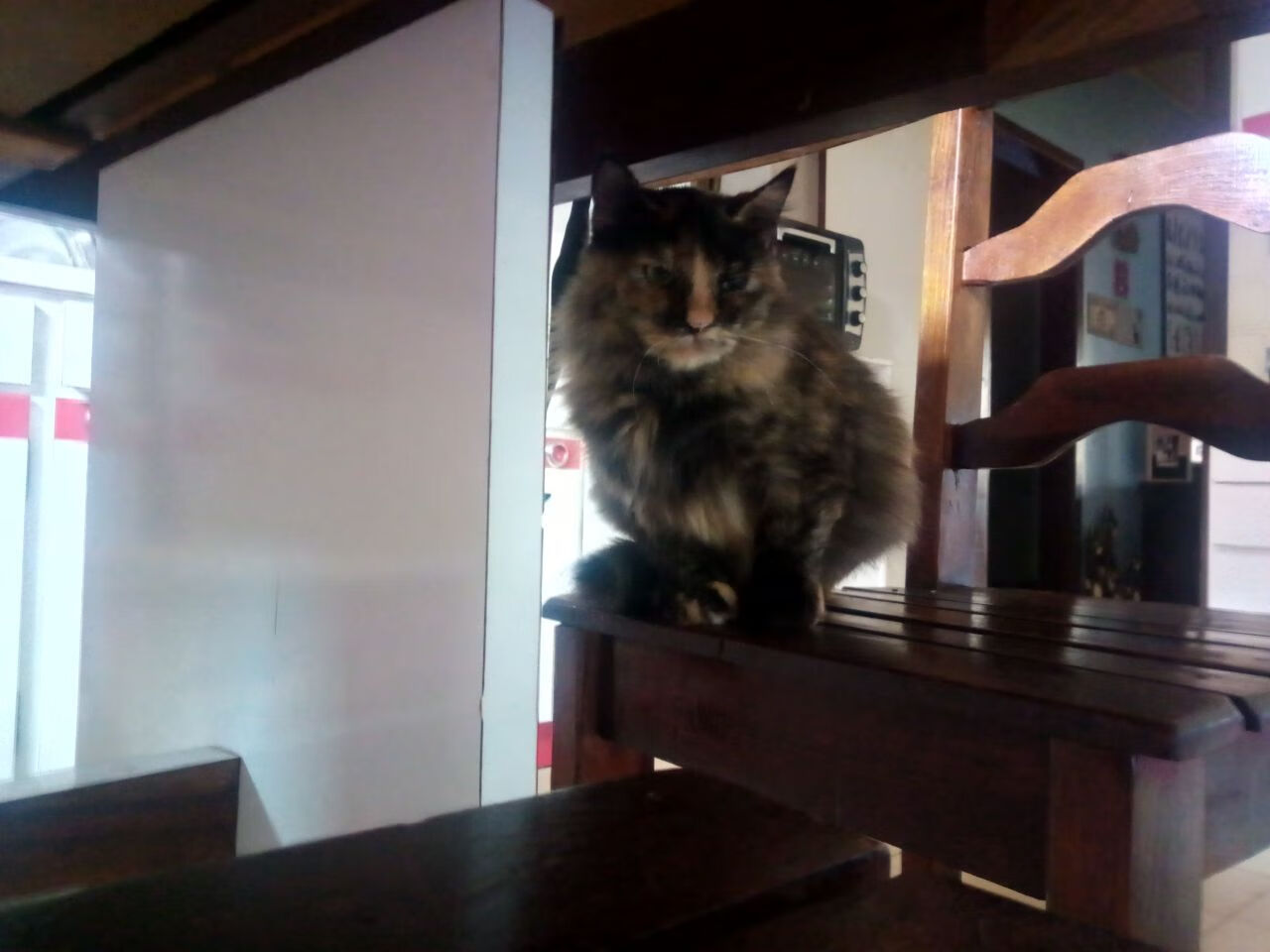 国际媒体联盟成立,赛事报道标准化推进,国际媒体组织