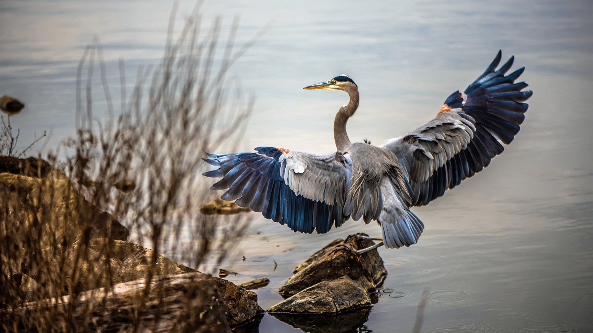 mk体育-德甲裁判新规解读与争议，德甲现场